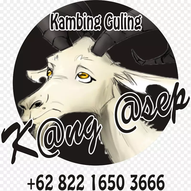 ����־����������-��-������