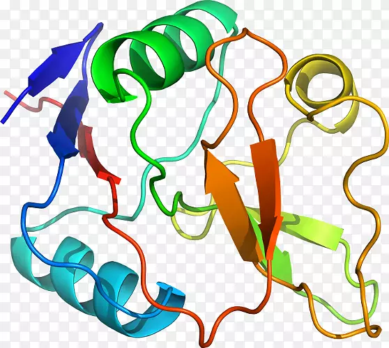 �ߵ������-��-������