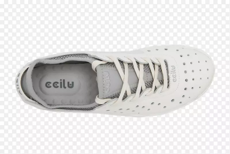 �˶�Ь����ѵ�����-������