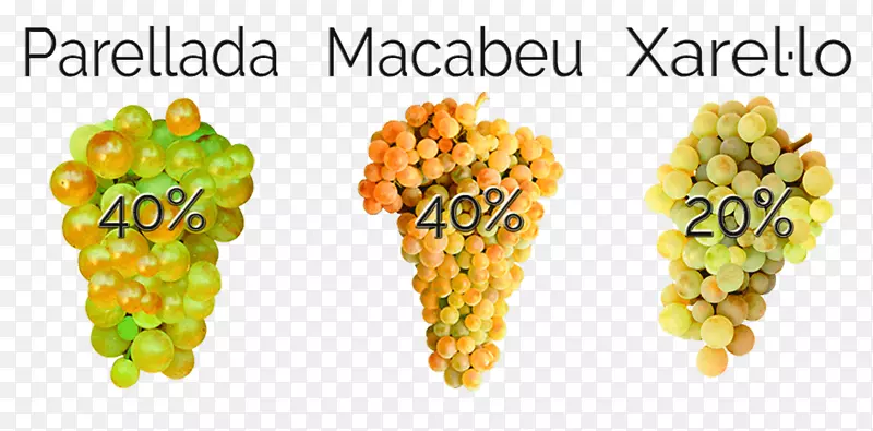 ������������������߶�����-������