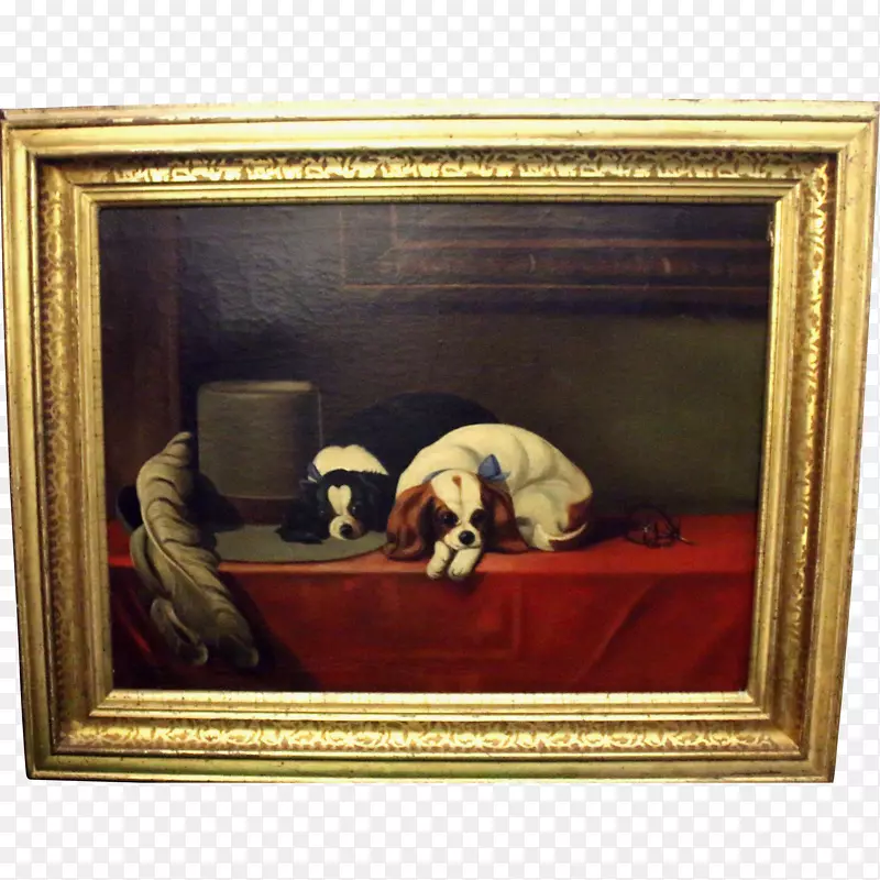 ������Ӱ����Ŷ�-������