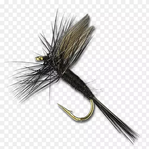 ��Ӭ��Ӭ��Ӭ��Ӭ-������