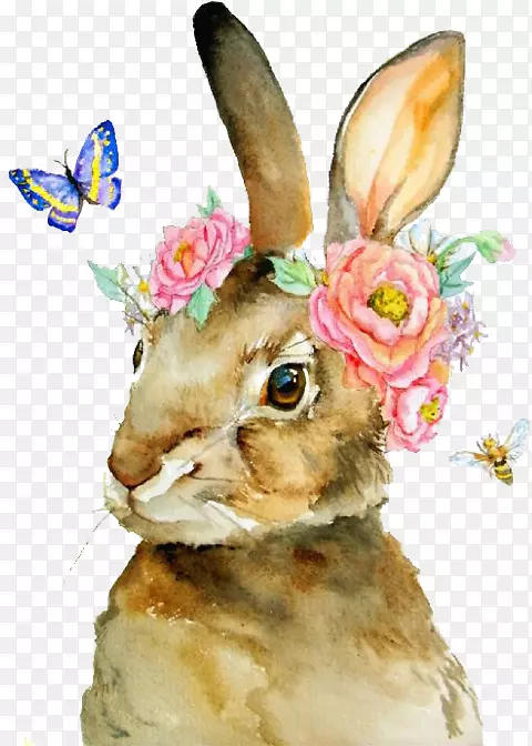 ˮ�ʻ��˵����ӵĹ���-������