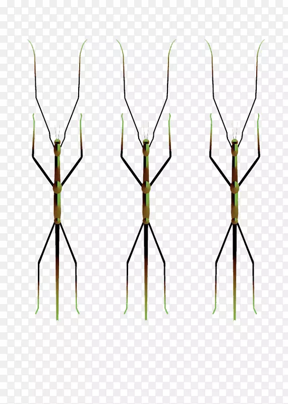 ��װ����ԳƲ���ͼ��.��ֻ�����ͼ-������