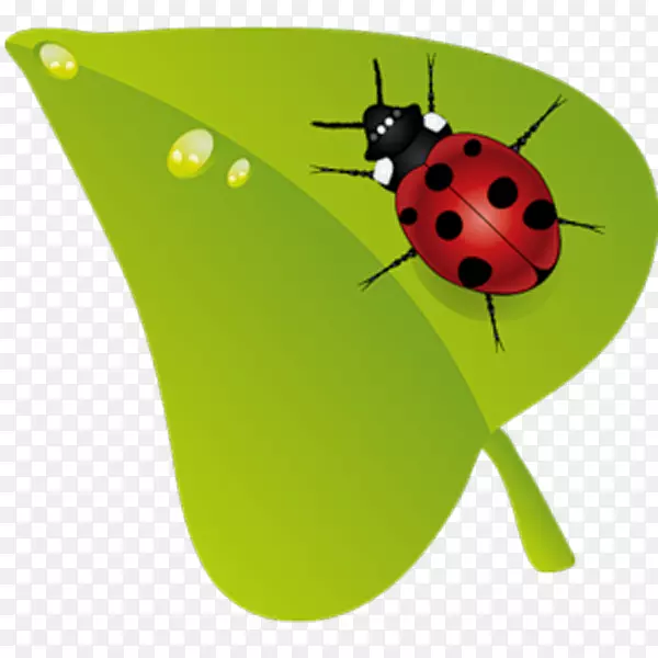 ��³0161�����������-ư��-������