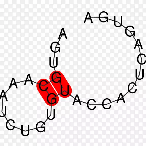 ��Ǽ��������-������