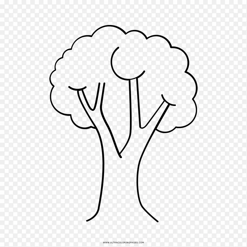 ������ɫ������-������