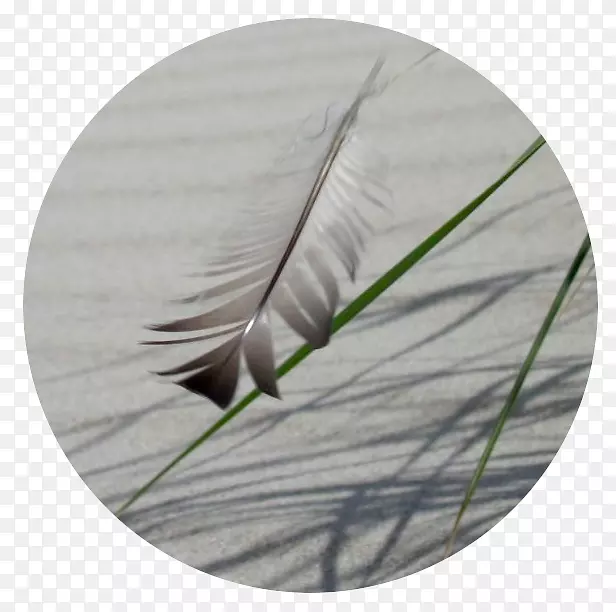 ��ë-��ë-������