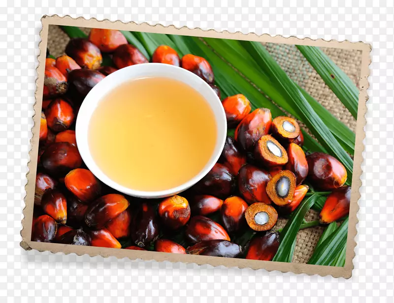 ʥ�ն�Τ-��˹��������ʳƷ��ȻʳƷ�䷽-̫����-������