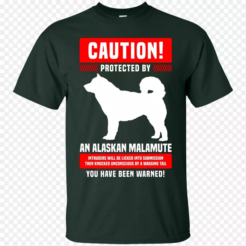 t��ñ����������t��-������