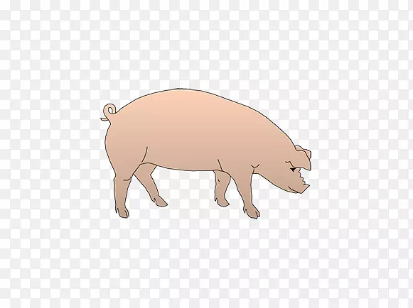 ���ද����Ϸ������-ǰ����-������