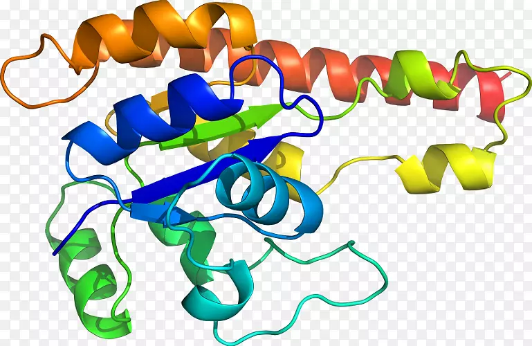 �����л����鱦���μ�������-������