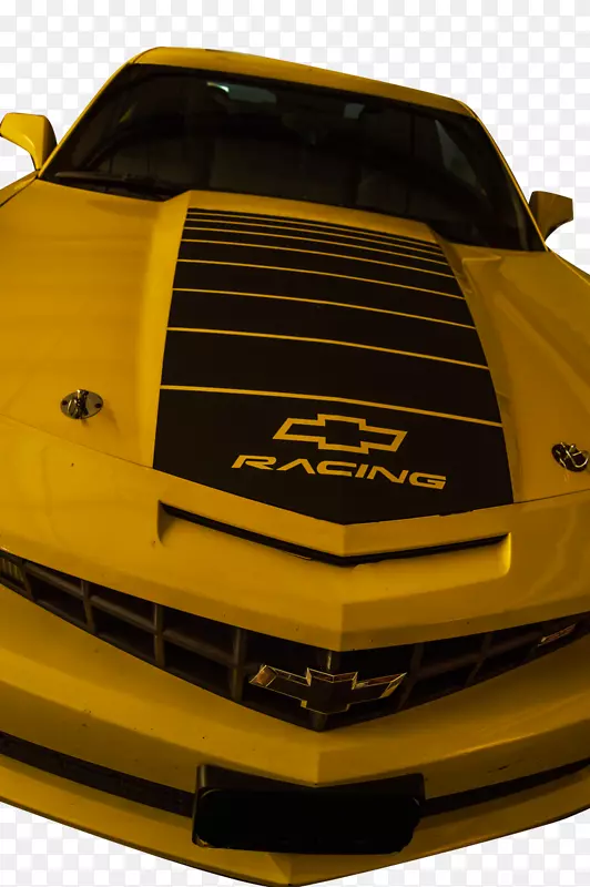 ���ո��ܳ���դ�������-����-������