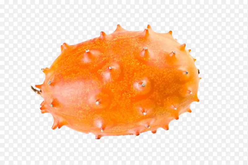 �н���ϣ��ƹϣ���ϣ�ˮ���ǣ��������-������