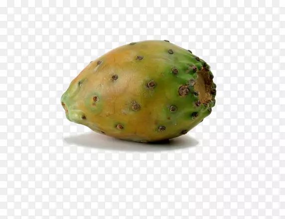 �Ű����޻�������ͨ�޻��������ƣ���������ֲ̥������ƿ�-���������ƹ�Ʒͼ��-������