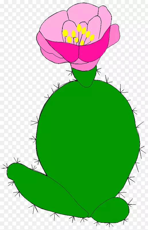 ����Ҷֲ�ﾥ����ֲ��-Ҷ-������