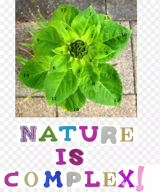 쳲�������ѧ��������ѧ-��ѧ-������