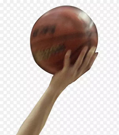 ָ��-������