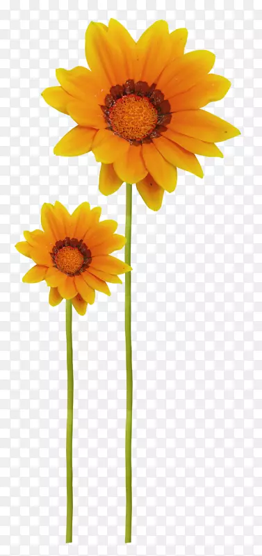 ��ͨ���տ���դͼ�μ�����-��-������