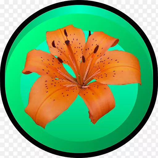 ����-������