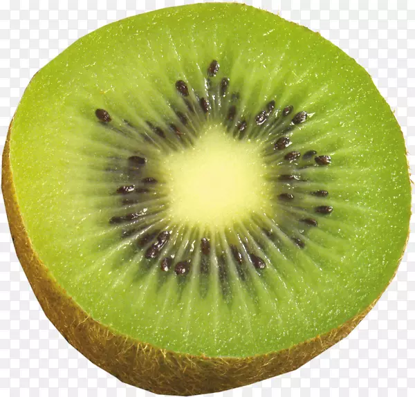 ⨺��������ֽ-������