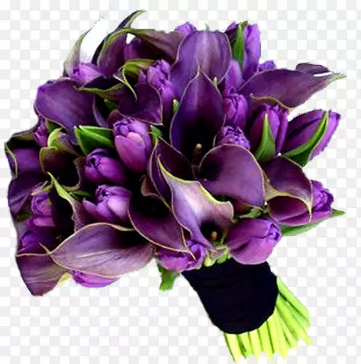 �л�����-������