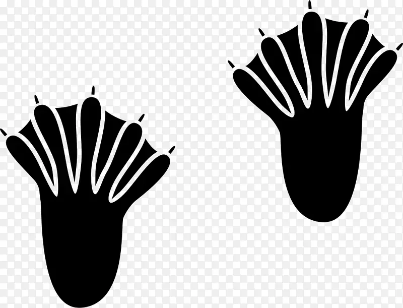 ���Ѽ��ֺ�Ż�-Ѽ-������