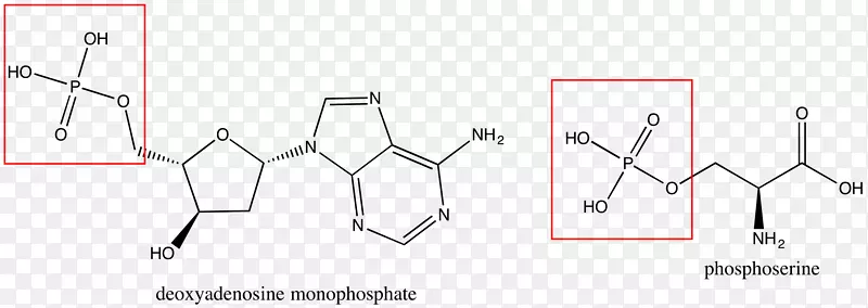 ���ǵ��-������