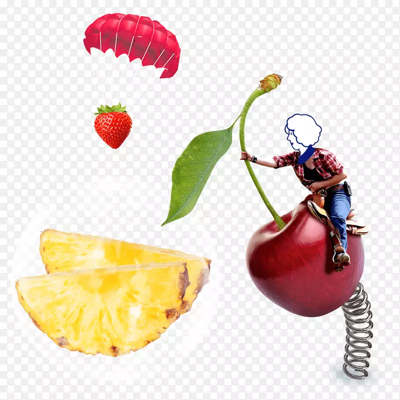 ��ݮ����ʳ��-��ݮ-������