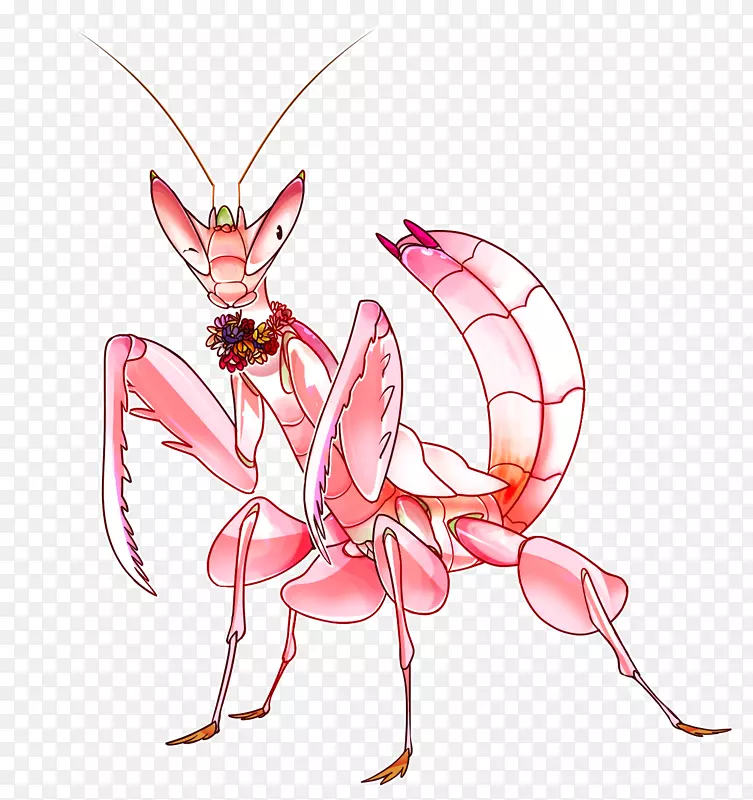 ���������Ů������-������