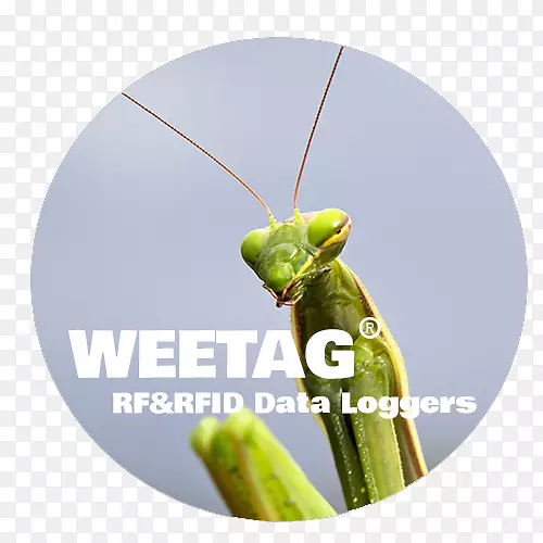 ���-������