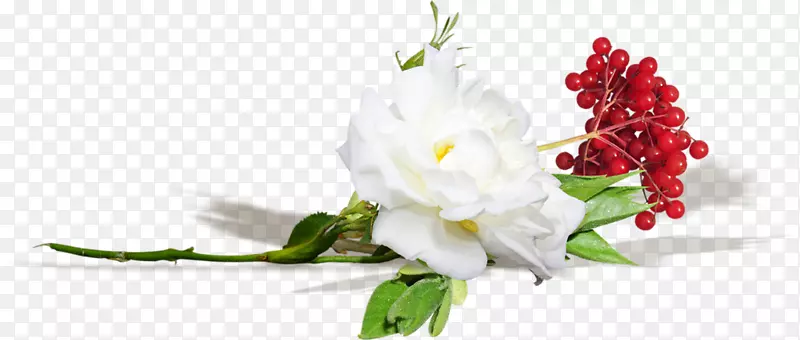 �滭��������л��滭-������