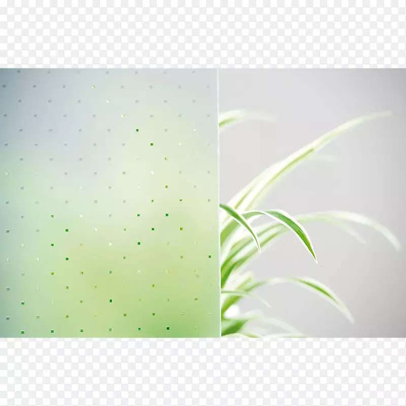 �����ֽ������д����-������