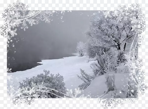 ���ֿ�-����-������