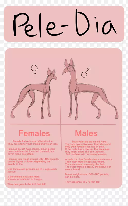 �����ǻ�����-����-������