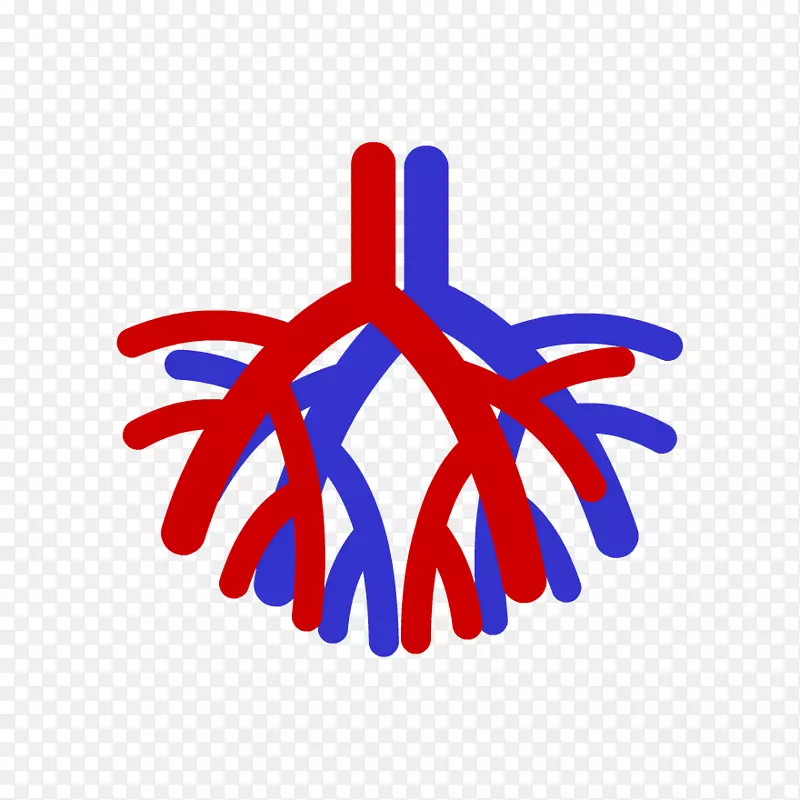 ѭ��ϵͳ��Ѫ��ϵͳ�����ѧ���֧��֧ӧ�-���էڧߧߧѧ�ڧ��֧ާ�-��ѧ-������