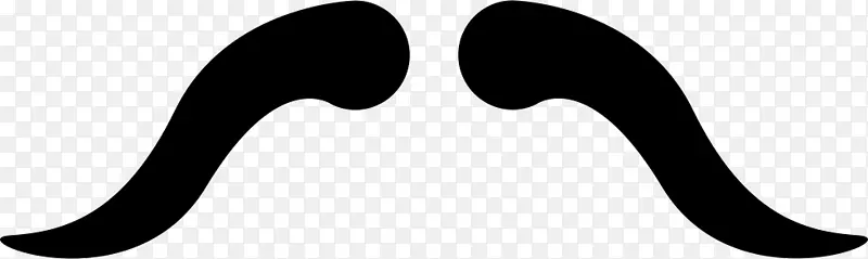 ��ָ��ɫ���������-������