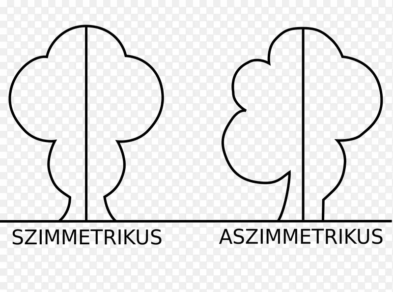 ���Գƶ�����ζ������-��ѧ-������