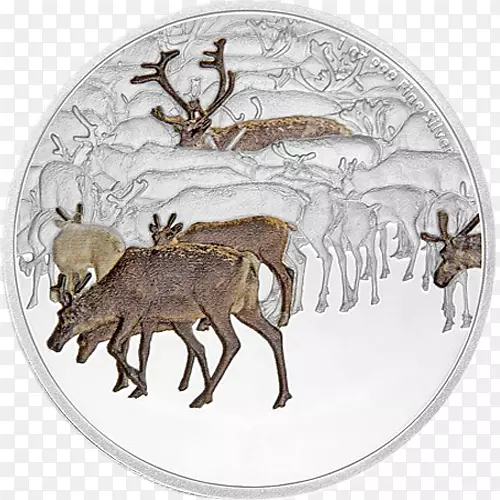 ѱ¹���ҽ�ѱ¹-������