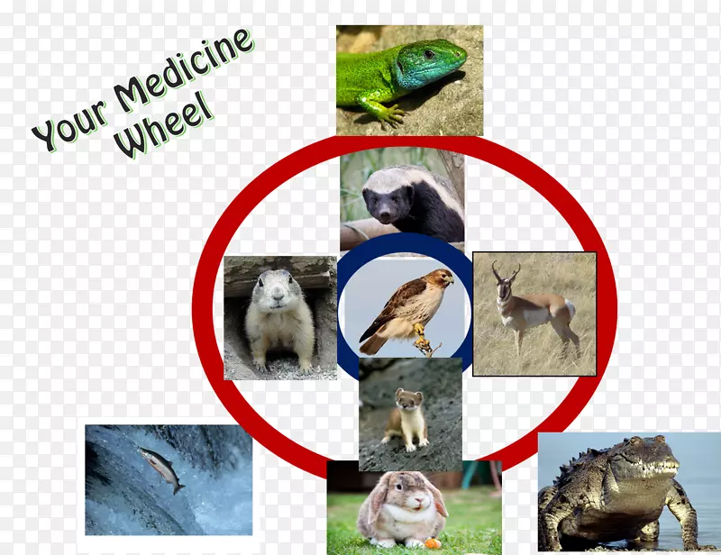 ���㣬�����ӣ�����-����-������