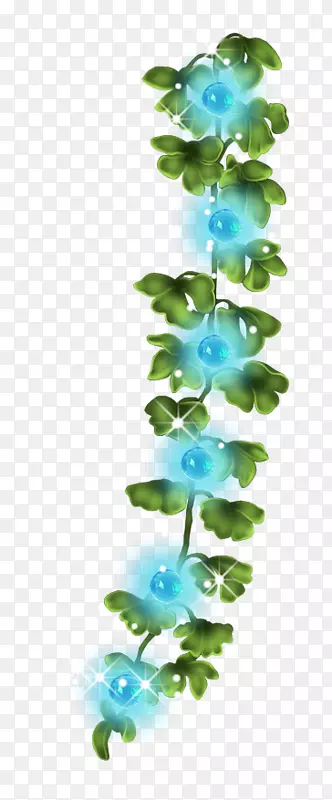 ����ֲ��ˮ���ֲ�ﾥ-ֲ��-������