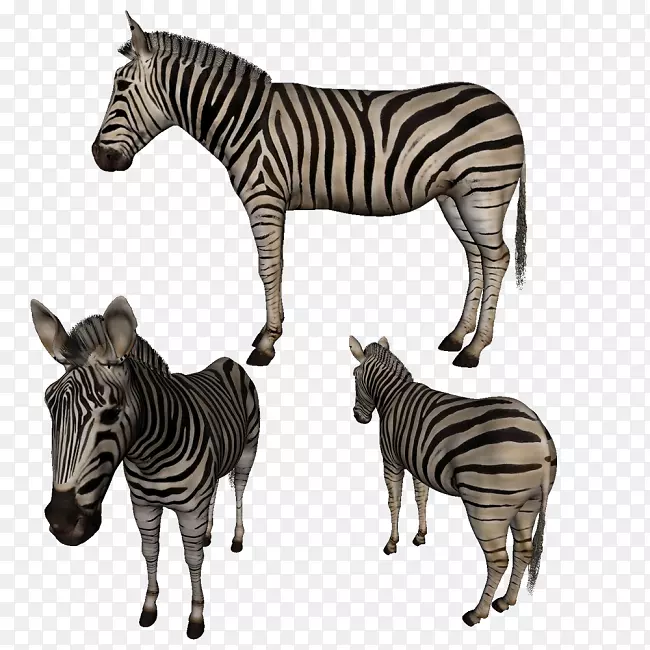 �߰�����½������Ұ���������-������