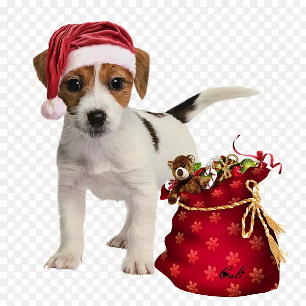 ��������߻�飬��-С��-������