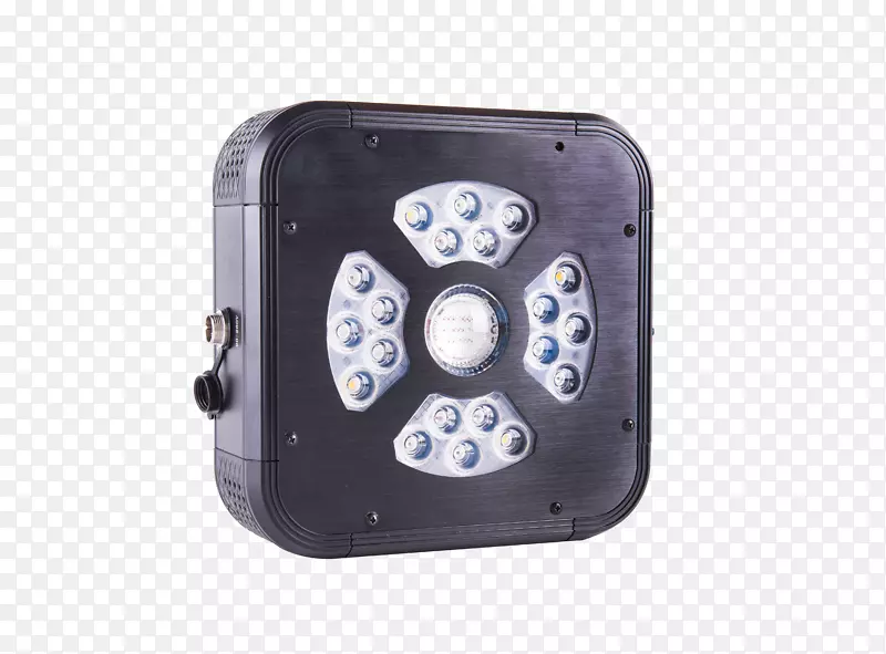 ���Ӷ�ý�����-������