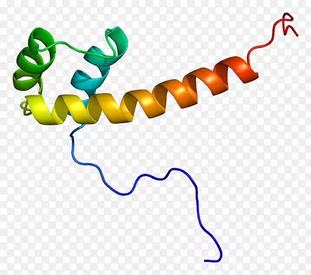 �ߵ������������-������