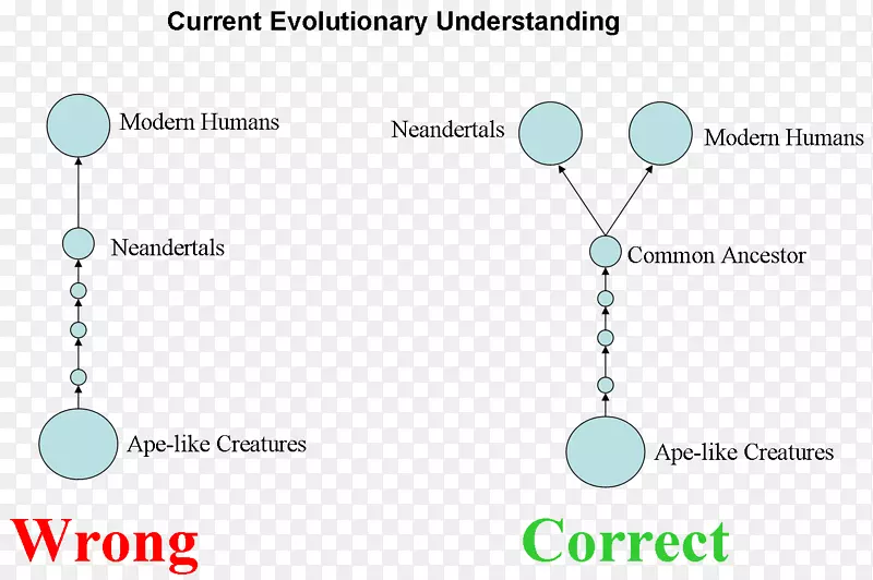 ������ʯƷ��-neandertahl-������
