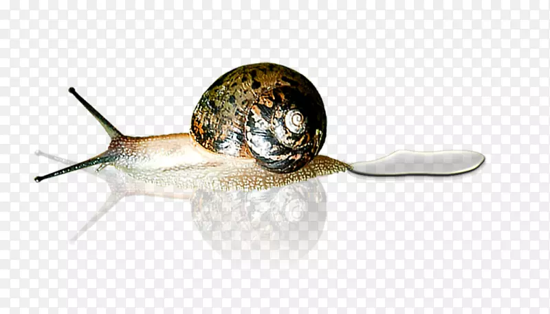 ��ţ�ۺ�ɫ����Ϣǽ-e-��ţ-������