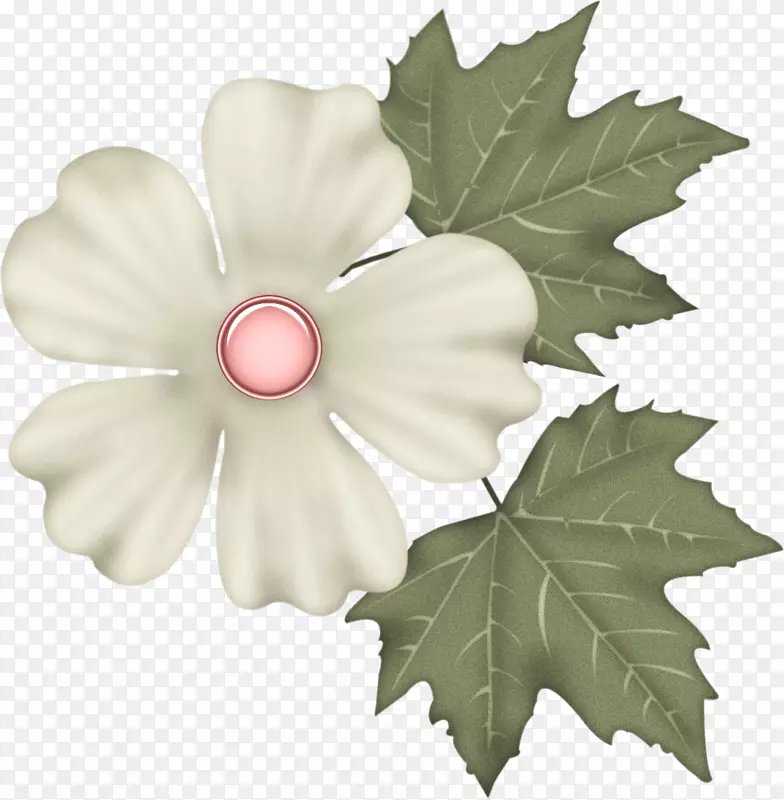 �����л���Ҷ������ֲ��-Ҷ-������