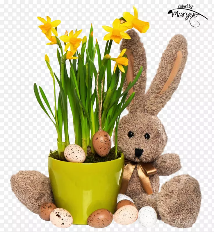 ��������ӻ����-��-������