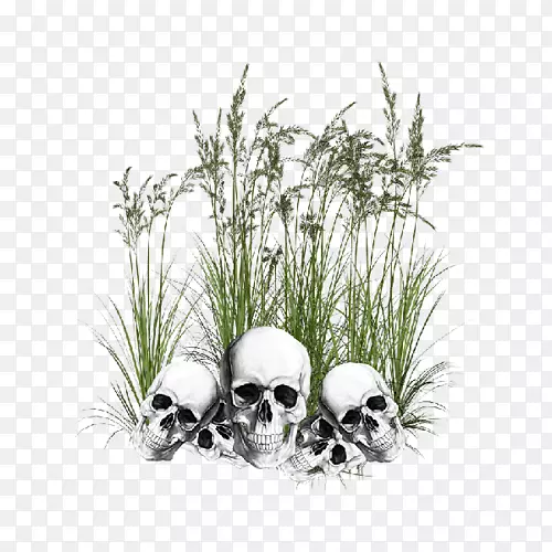 ����ͷ��������-������